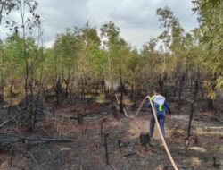 Kesiapsiagaan Karhutla di Kalsel Tetap Dilakukan Meski Status Darurat Dicabut