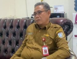 Sering Tumbang Saat Hujan Disertai Angin, DPRKPLH Kabupaten Banjar Lakukan Peremajaan Pohon