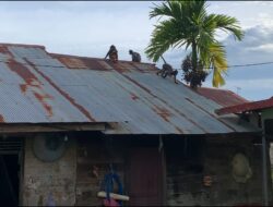 Kawanan Monyet Liar Menyerang Pemukiman Penduduk