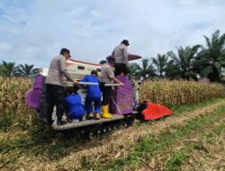 Panen Jagung di Kalsel; SMK PP Negeri Banjarbaru dan Polres Banjarbaru Perkuat Ketahanan Pangan