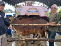 Dapur Air Santri Siapkan 12 Ribu Porsi Untuk Jemaah Sekumpul