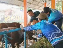 Stok Hewan Kurban Iduladha di Kabupaten Banjar Dinyatakan Sehat dan Aman