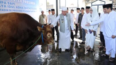 Gubernur Muhidin Serahkan Bantuan Sapi Kurban Iduladha Dari Presiden RI