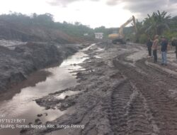 Walhi Kalimantan Selatan Desak Pemerintah Sanksi PT MMI