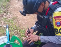 Astaga! Warga Aranio Temukan Granat Tangan di Tepi Sungai