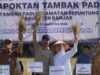 Bupati Banjar Syukuran Panen Padi di Desa Tambak Padi