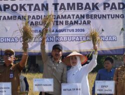 Bupati Banjar Syukuran Panen Padi di Desa Tambak Padi