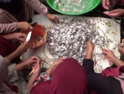 Desa Jirak Penghasil Penganan Olahan Khas Ikan Asin