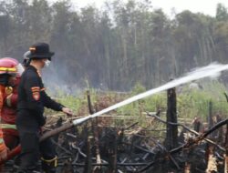Polda Kalimantan Selatan Turut Lakukan Pemadaman Karhutla di Handil Bakti